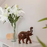 Bh Rose リュブリャナ