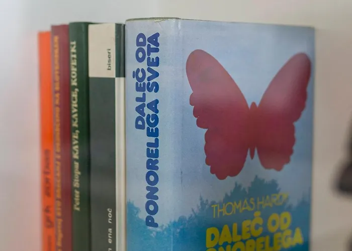 Appartamento Bh Rose *